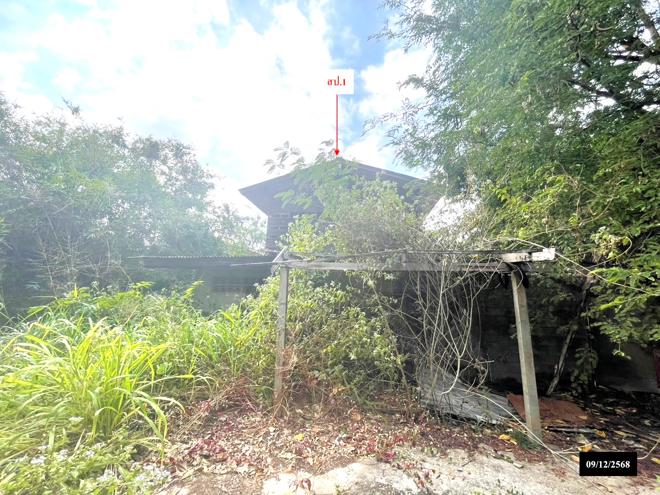 รูป บ้านเดี่ยว 573.6 ตร.วา เรณูนคร นครพนม 1.8M - รูปที่ 3/38