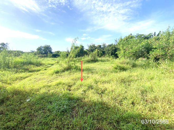 รูป บ้านเดี่ยว 900 ตร.วา เมืองขอนแก่น ขอนแก่น 2.3M - รูปที่ 4/12