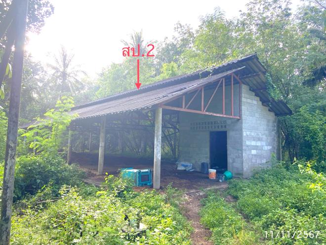 รูป ฟาร์ม 1709.6 ตร.วา ป่าบอน พัทลุง 3.2M - รูปที่ 10/40