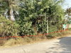 listing thumbnail image 11