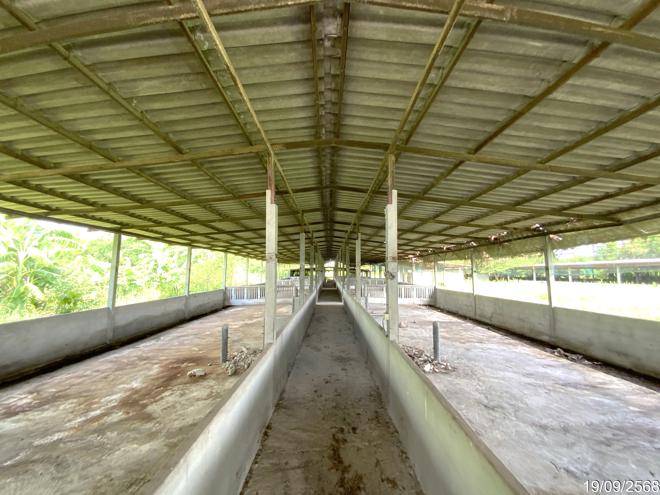 picture LAND 3345 Sq.w. Tha Wung Lopburi for 9.3M - 4/50