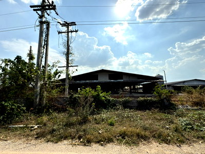 LAND 1974.5 Sq.w. Dan Makham Tia Kanchanaburi for 1.7M