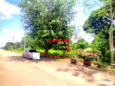 โรงงาน หนองบัวลำภู : เพิงอเนกประสงค์ 2059 ตร.วา นากลาง หนองบัวลำภู 14.9M