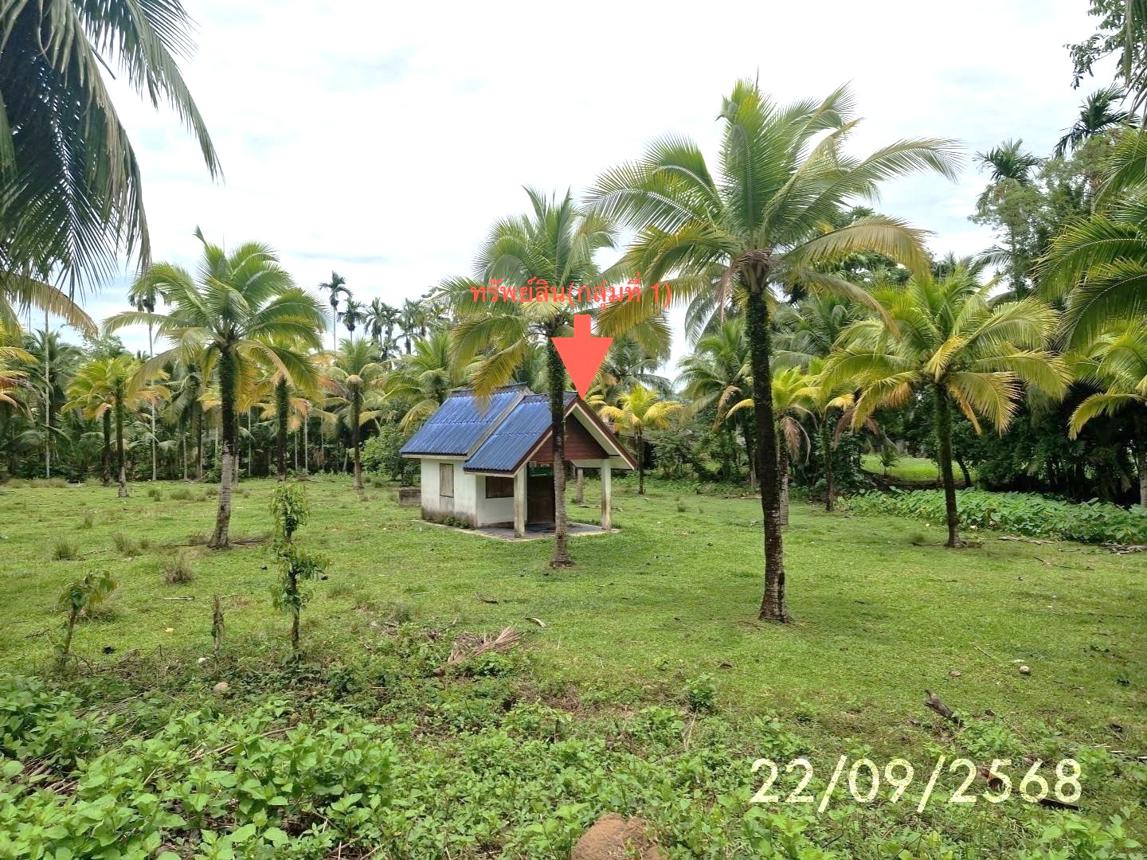 รูป บ้านเดี่ยว 1144.6 ตร.วา กันตัง ตรัง 6M - รูปที่ 9/20