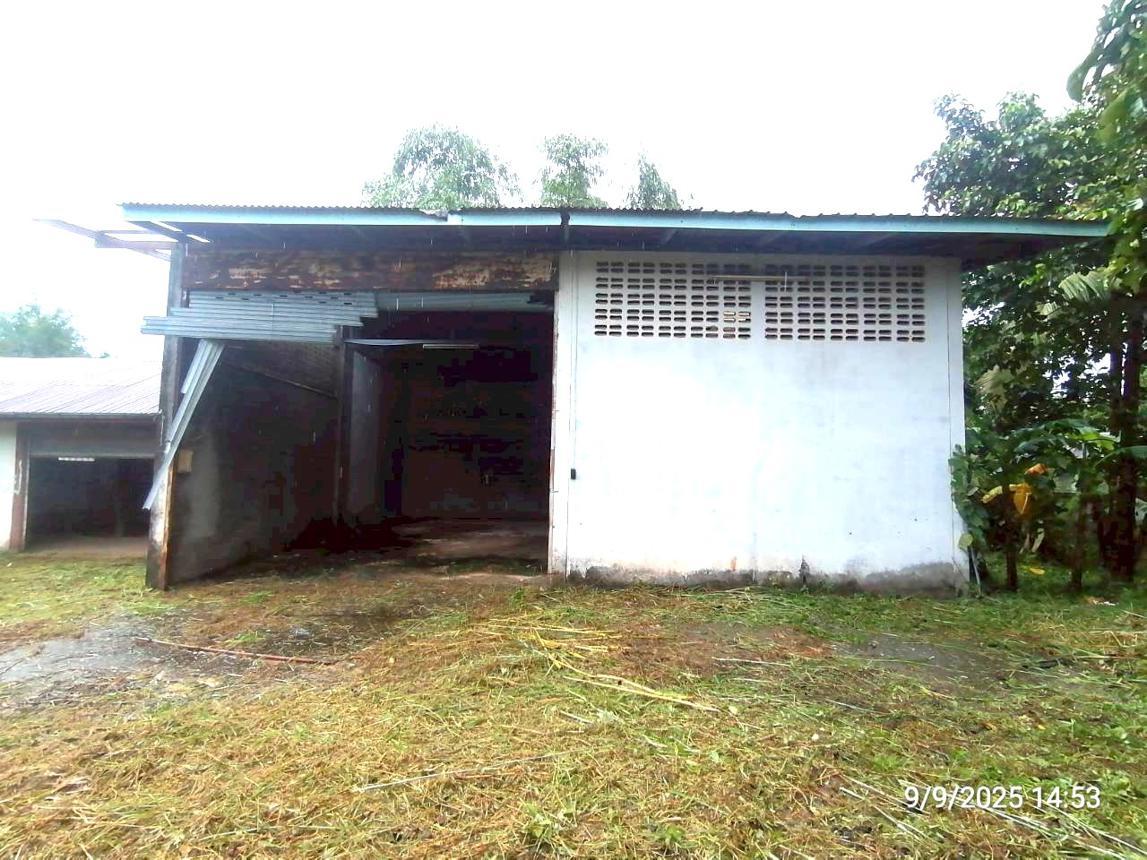 รูป บ้านเดี่ยว 1081 ตร.วา ศรีวิไล บึงกาฬ 4.8M - รูปที่ 22/40