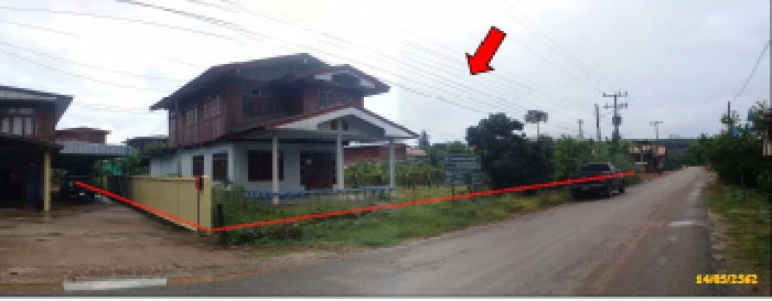 picture LAND 412 Sq.w. Na Duang Loei for 2M - 1/3