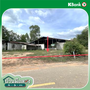 รูป บ้านเดี่ยว 4397 ตร.วา จัตุรัส ชัยภูมิ 2.7M - รูปที่ 28/30