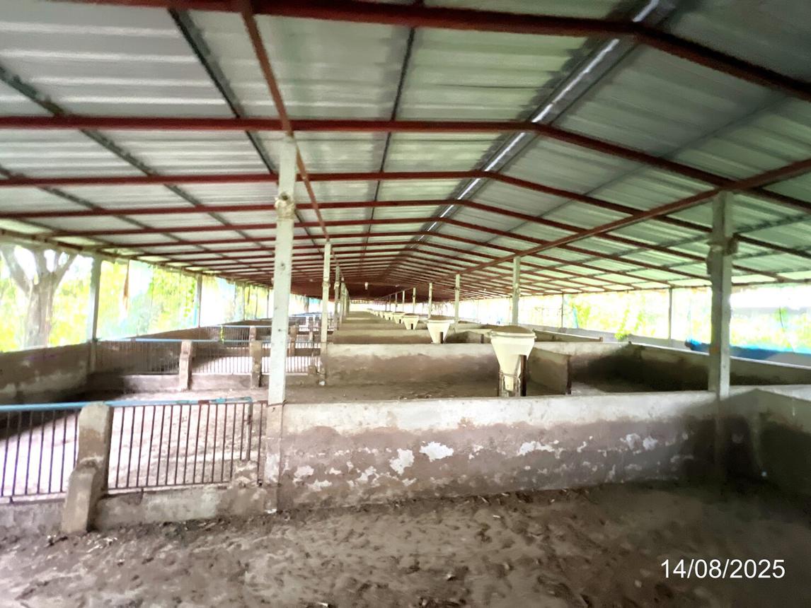 picture LAND 1958 Sq.w. Muang Nakhon Sawan Nakhon Sawan for 4M - 17/34