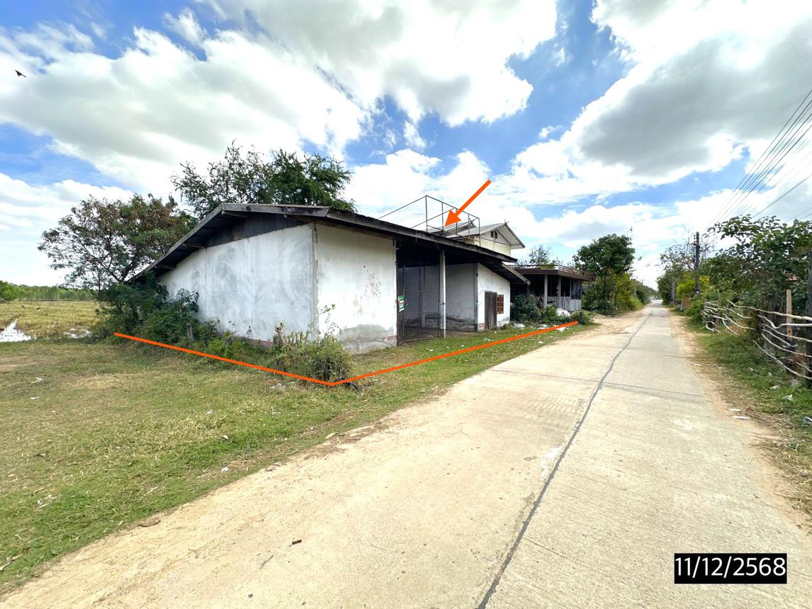 รูป บ้านเดี่ยว 100 ตร.วา ปทุมรัตต์ ร้อยเอ็ด 359,000 - รูปที่ 13/24