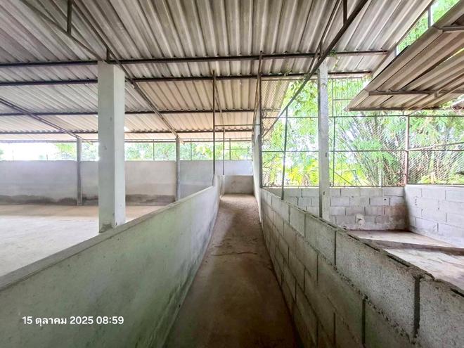 รูป เพิงอเนกประสงค์ 525 ตร.วา จอมทอง เชียงใหม่ 1.4M - รูปที่ 11/30