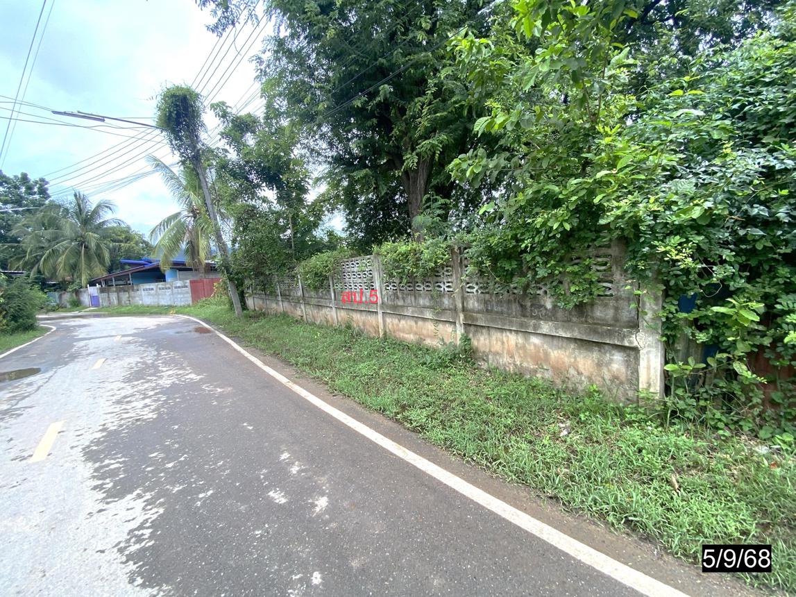 รูป บ้านเดี่ยว 1702 ตร.วา ชุมแพ ขอนแก่น 9M - รูปที่ 35/40