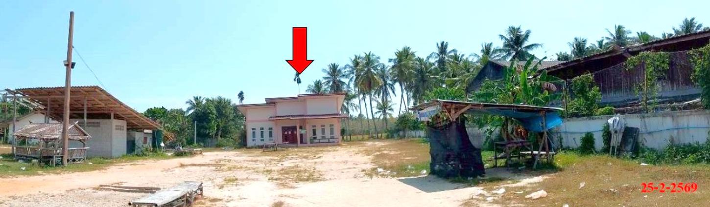 รูป บ้านเดี่ยว 471 ตร.วา ไม้แก่น ปัตตานี 3.1M - รูปที่ 12/24