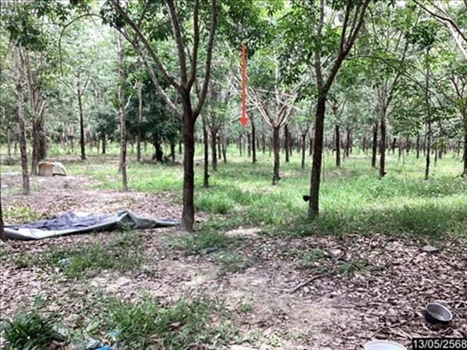 picture HOME 16600 Sq.w. Nongkai for 9.3M - 8/20