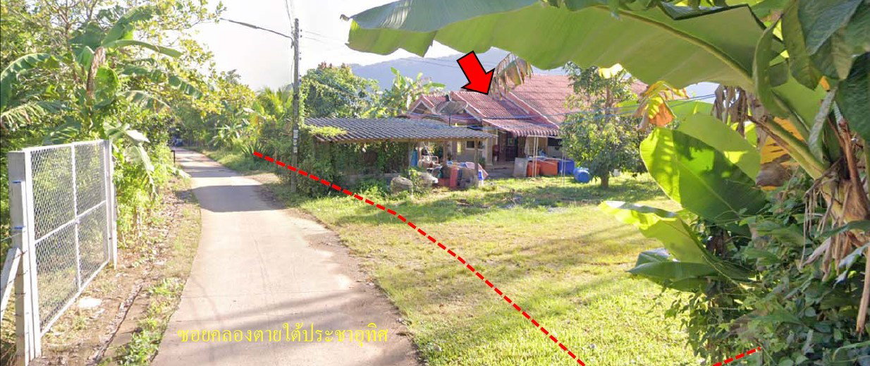 picture LAND 260.3 Sq.w. Muang Satun Satun for 1.3M - 3/6