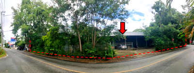 LAND 233 Sq.w. San Pa Tong Chiang Mai for 2.6M