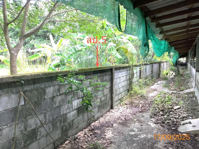 รูป ฟาร์ม 2259.1 ตร.วา เฉลิมพระเกียรติ นครศรีธรรมราช 5.6M - รูปที่ 10/36