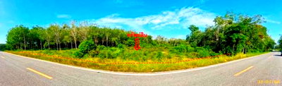 สวนเกษตร 1539 ตร.วา แม่ลาน ปัตตานี 1.4M