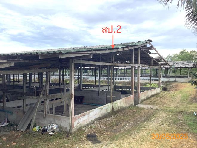 picture LAND 3649 Sq.w. Chalermphrakiet Nakhon Sri Thammarat for 9.9M - 5/38
