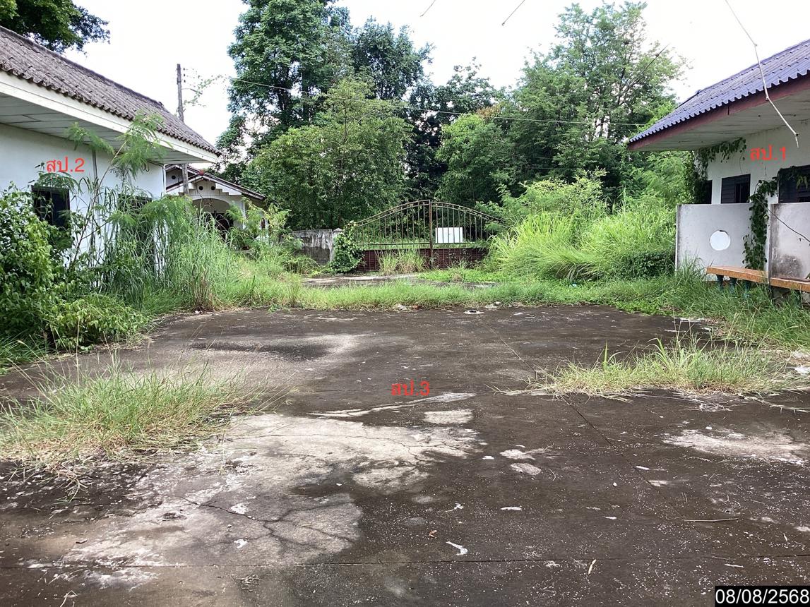 รูป บ้านเดี่ยว 361 ตร.วา เมืองหนองบัวลำภู หนองบัวลำภู 3.5M - รูปที่ 38/44
