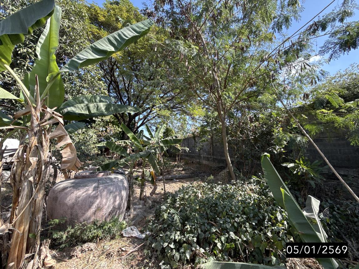 รูป บ้านเดี่ยว 299 ตร.วา นามน กาฬสินธุ์ 2.8M - รูปที่ 20/24