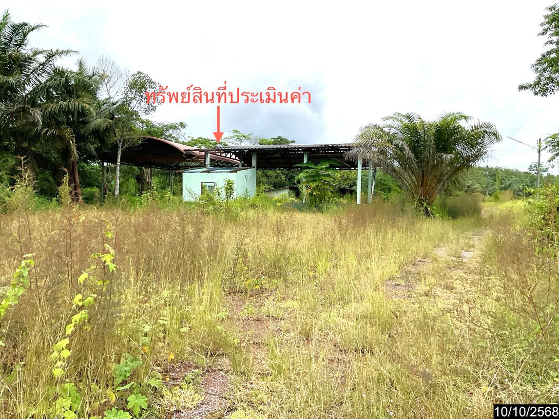 รูป บ้านเดี่ยว 3646 ตร.วา ทุ่งสง นครศรีธรรมราช 12M - รูปที่ 31/38