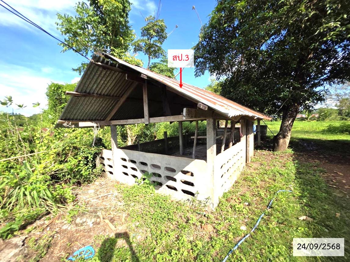 รูป บ้านเดี่ยว 3969 ตร.วา เจริญศิลป์ สกลนคร 5.6M - รูปที่ 17/24