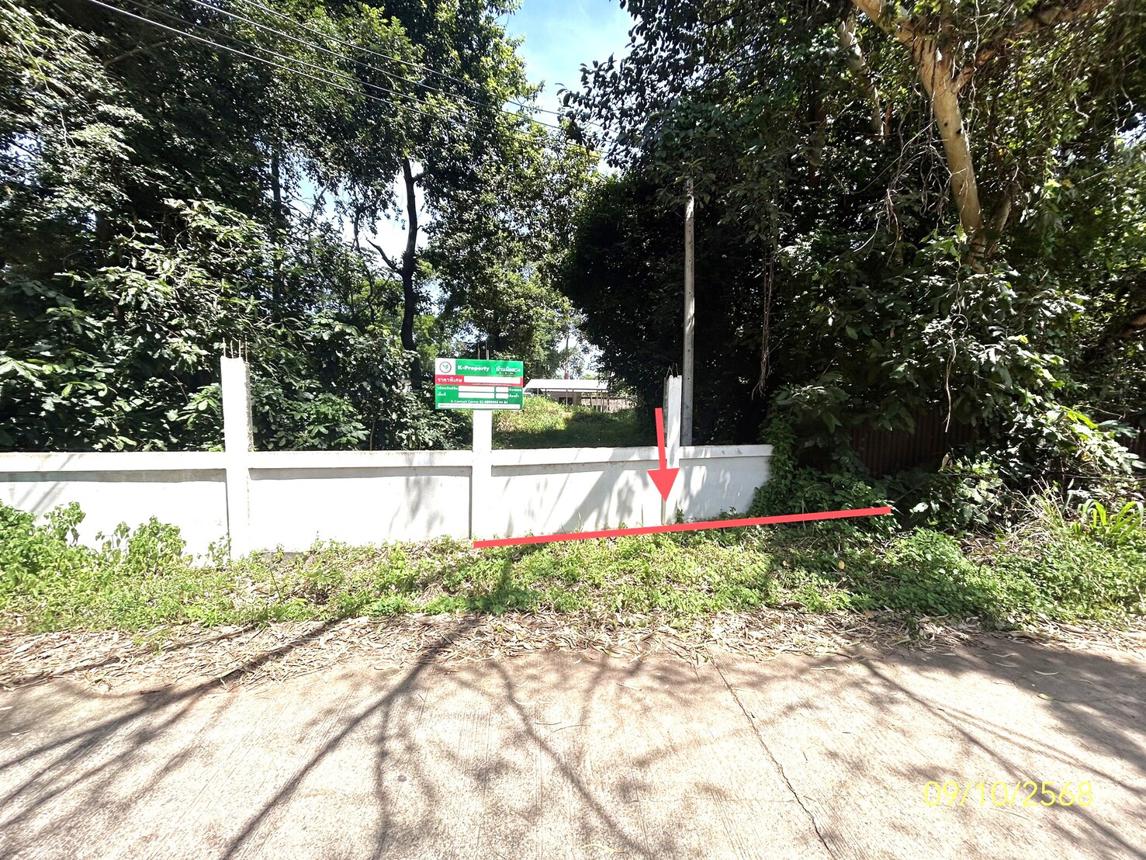 รูป บ้านเดี่ยว 1200.8 ตร.วา เมืองยโสธร ยโสธร 3.5M - รูปที่ 36/40