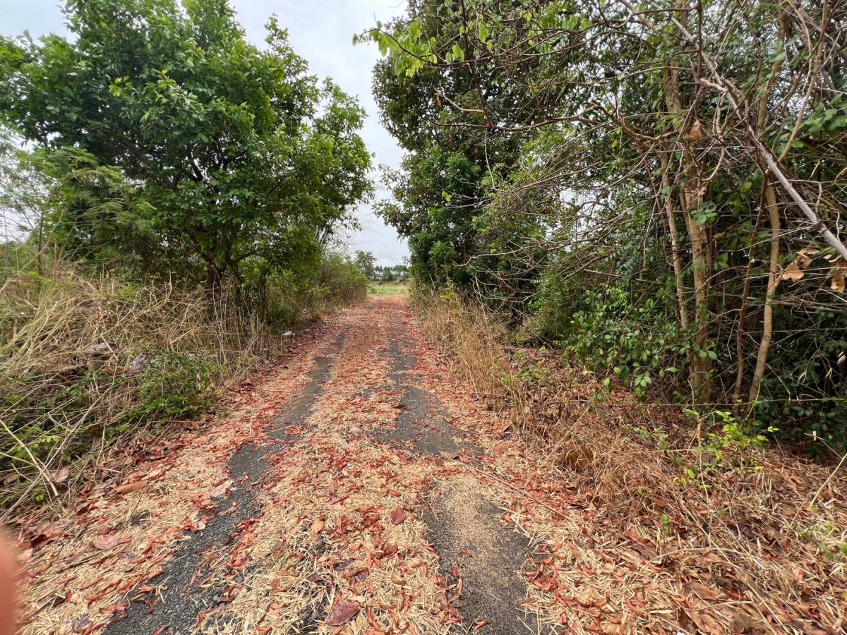 รูป ที่ดินพร้อมสิ่งปลูกสร้าง 35967 ตร.วา อำเภอลำปลายมาศ บุรีรัมย์ 27.5M - รูปที่ 2/9