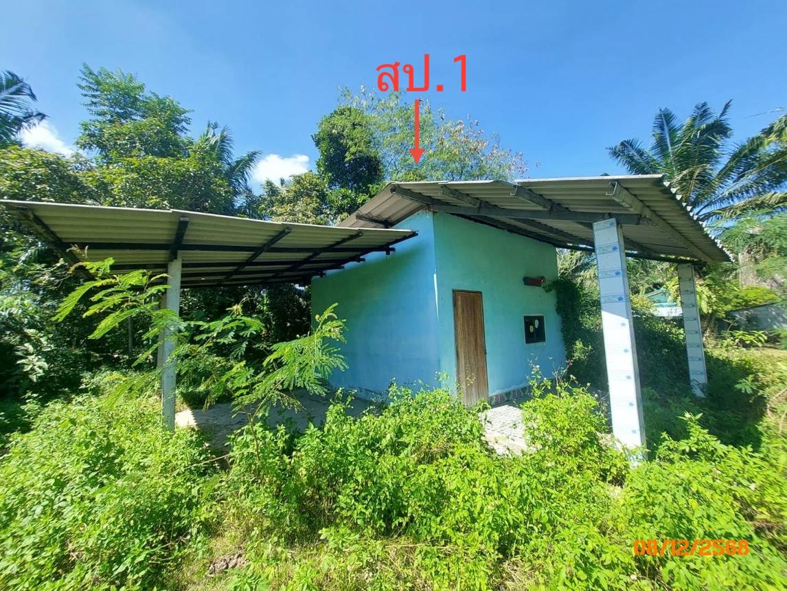 picture HOME 1000 Sq.w. Prasaeng Surat Thani for 1.8M - 16/32