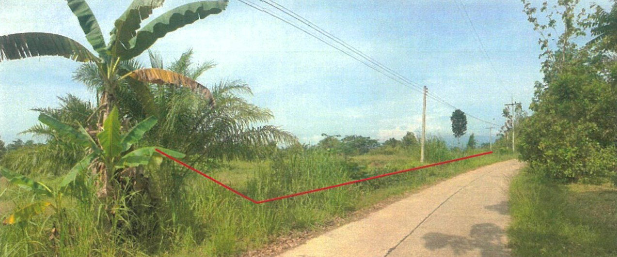 picture LAND 2454.6 Sq.w. Khiri Ratthanikhom Surat Thani for 1.8M - 7/9