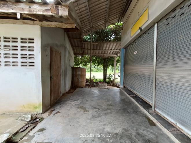 รูป บ้านเดี่ยว 293.6 ตร.วา ฉวาง นครศรีธรรมราช 3.5M - รูปที่ 3/30