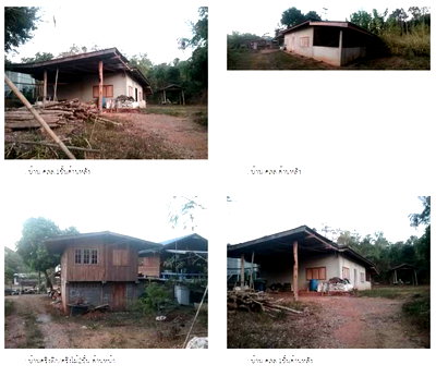 LAND 328 Sq.w. Na Haeo Loei for 2.3M