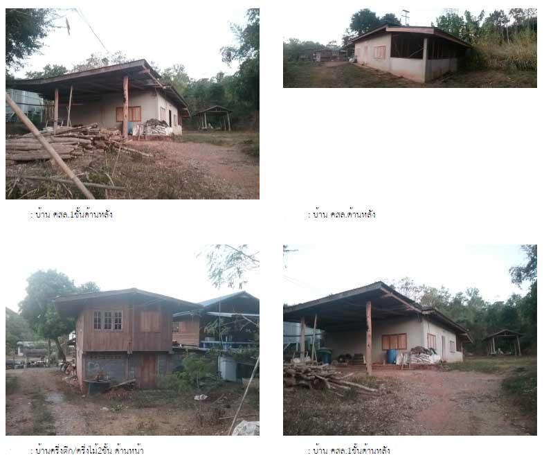 picture LAND 328 Sq.w. Na Haeo Loei for 2.3M - 1/2