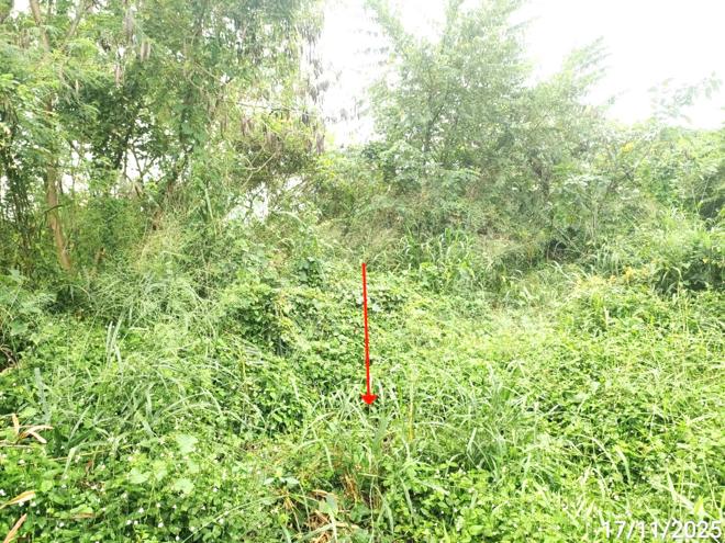 รูป บ้านเดี่ยว 685.8 ตร.วา เมืองมหาสารคาม มหาสารคาม 5.1M - รูปที่ 13/30