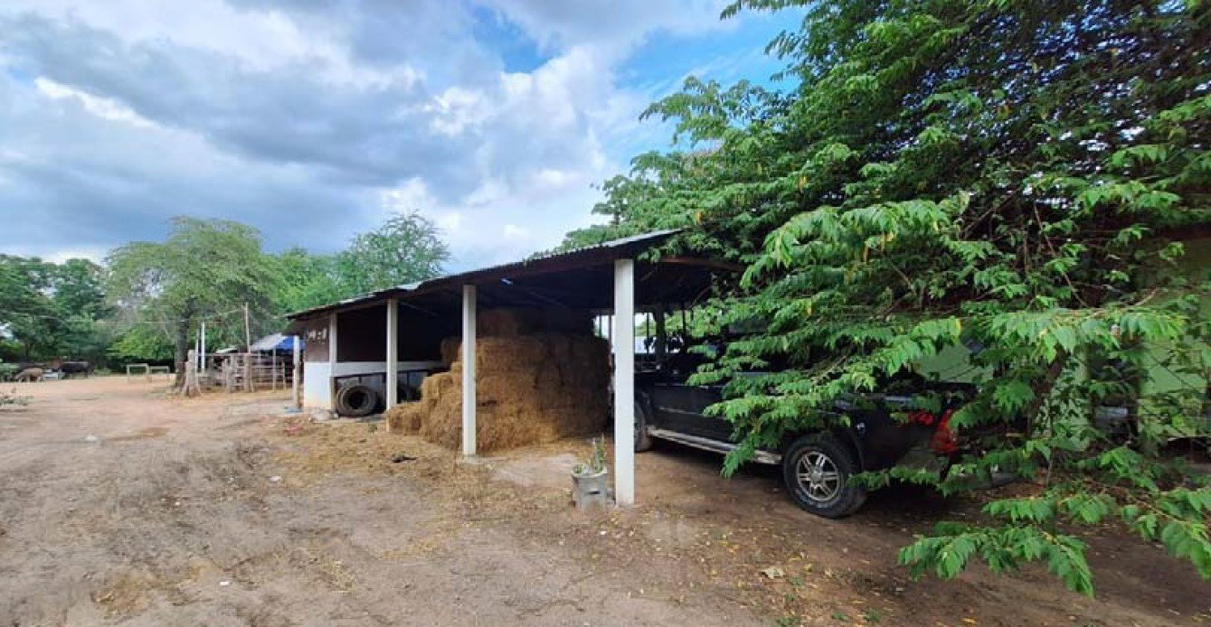 picture LAND 411.5 Sq.w. Sikhiu Nakhon Ratchasima for 822,000 - 7/12