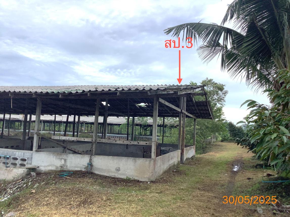 picture LAND 3649 Sq.w. Chalermphrakiet Nakhon Sri Thammarat for 9.9M - 26/38