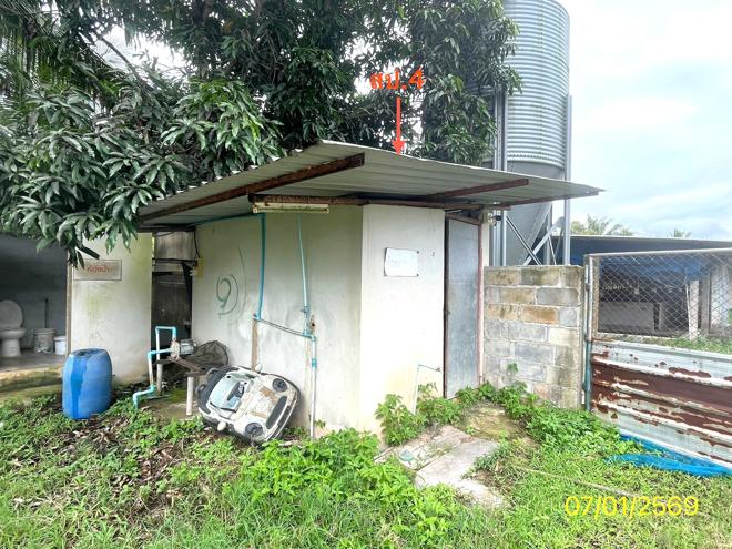 รูป ฟาร์ม 1603 ตร.วา เมืองพัทลุง พัทลุง 7M - รูปที่ 6/24