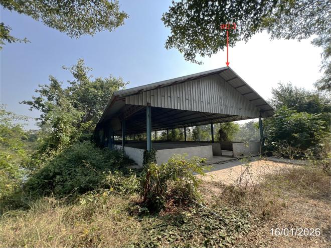 picture LAND 9600 Sq.w. Kao Lieo Nakhon Sawan for 12.6M - 3/46