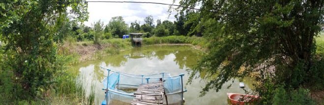 รูป บ้านพร้อมกิจการ 5370 ตร.วา ดอนแร่ ราชบุรี เมืองราชบุรี ราชบุรี 21.7M - รูปที่ 13/14