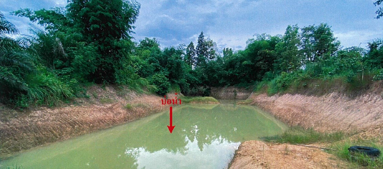 picture LAND 3552 Sq.w. Hang Chat Lamphang for 2.5M - 6/9