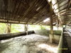 listing thumbnail image 30