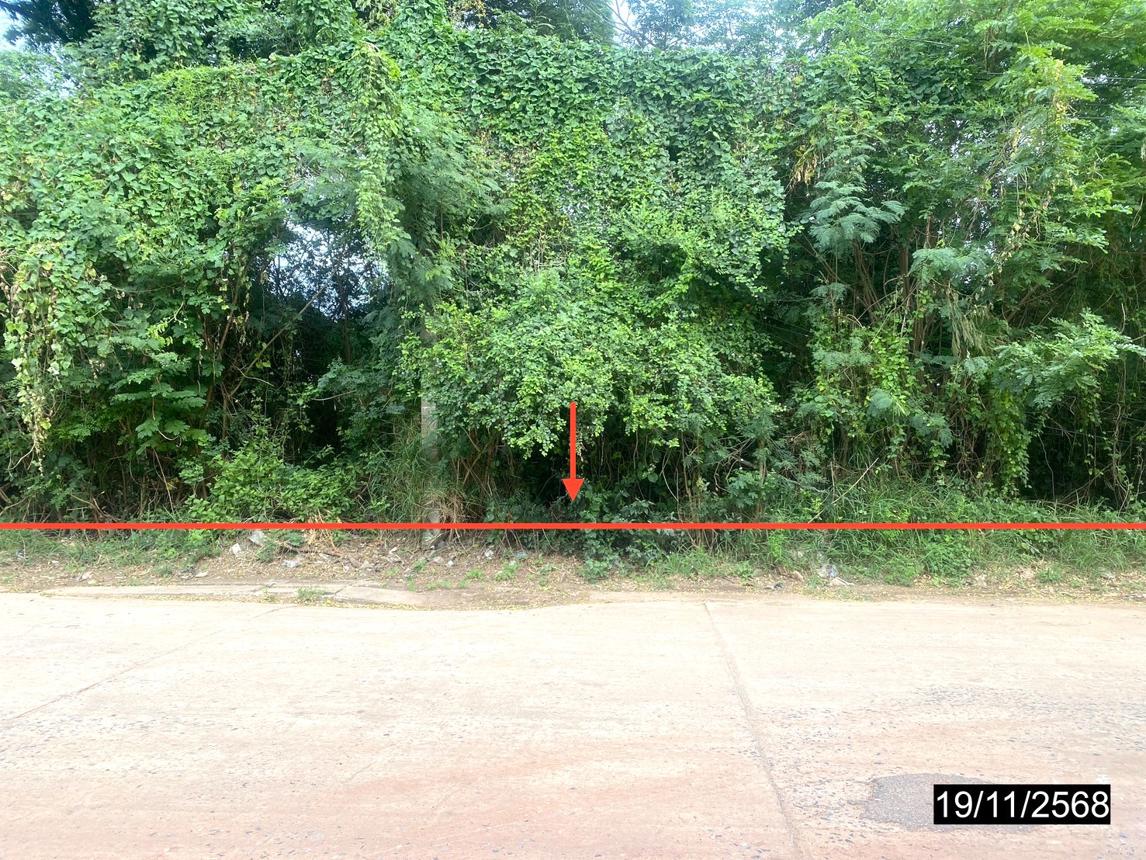 รูป บ้านเดี่ยว 14725.3 ตร.วา เมืองกาฬสินธุ์ กาฬสินธุ์ 28.4M - รูปที่ 18/38