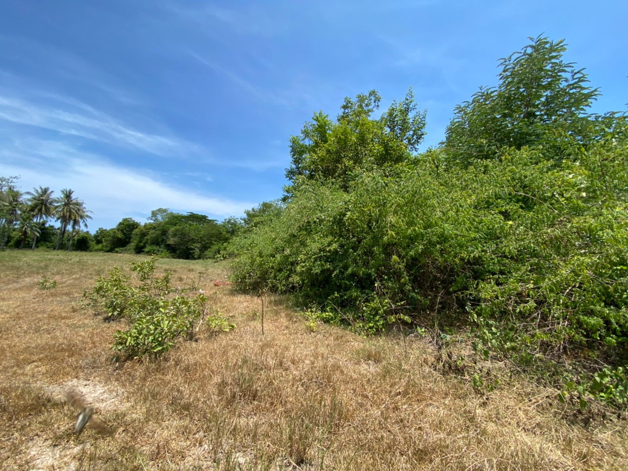picture LAND 16156 Sq.w. Thap Sakae Prachaubkirikhan for 10.6M - 5/8
