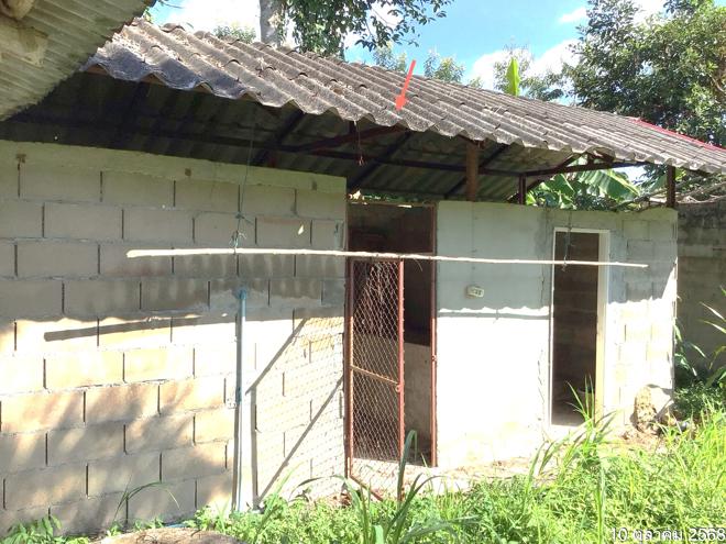 รูป บ้านเดี่ยว 1597 ตร.วา แม่จัน เชียงราย 4.6M - รูปที่ 6/36