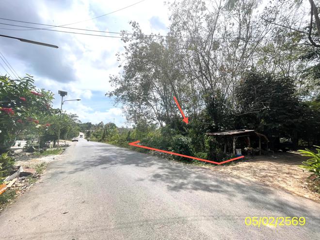 picture LAND 310 Sq.w. Hat Yai Songkhla for 1.1M - 8/22