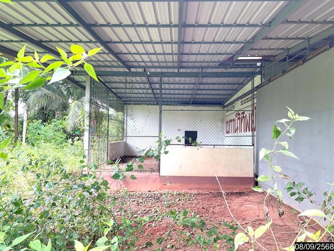 รูป บ้านเดี่ยว 986 ตร.วา เซกา บึงกาฬ 4.1M - รูปที่ 2/34