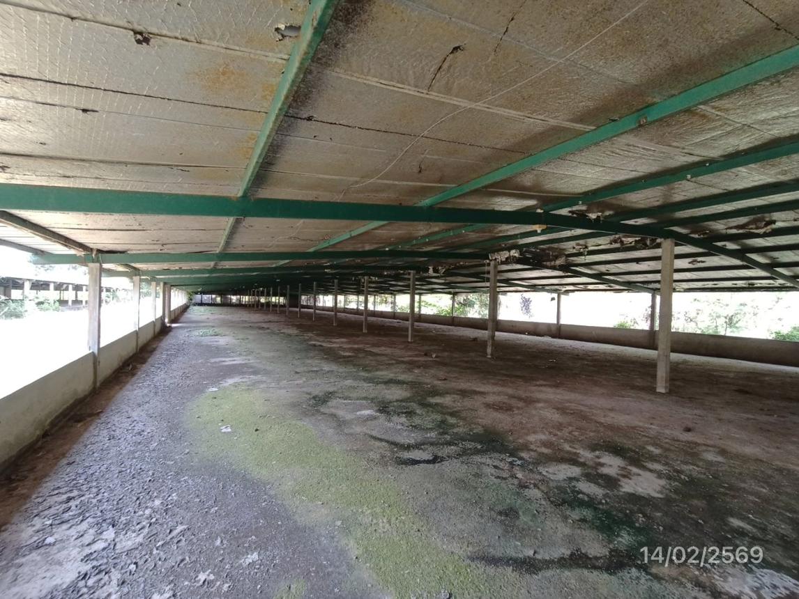 รูป ฟาร์ม 3464 ตร.วา สทิงพระ สงขลา 9.7M - รูปที่ 26/48