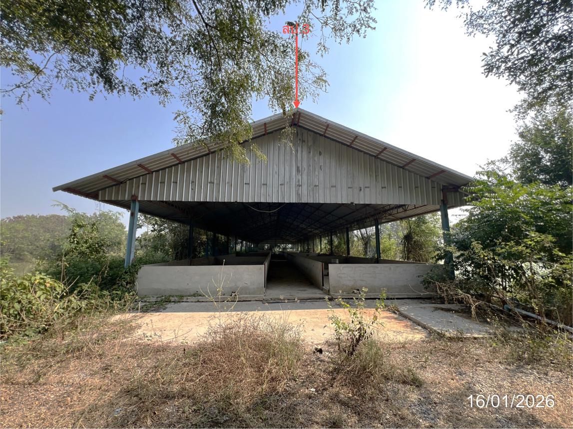 picture LAND 9600 Sq.w. Kao Lieo Nakhon Sawan for 12.6M - 23/46