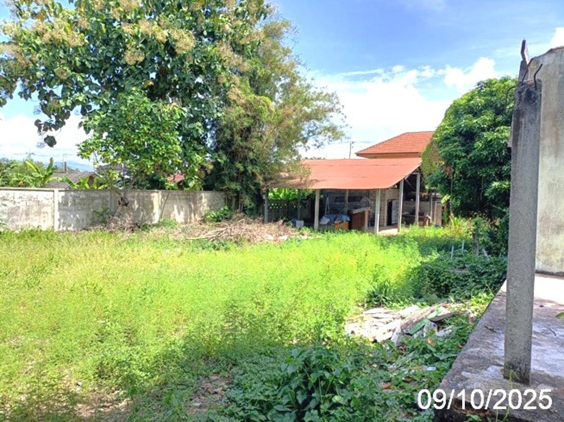 รูป เพิงอเนกประสงค์ 364 ตร.วา แม่อาย เชียงใหม่ 2.2M - รูปที่ 13/20