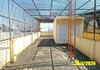 listing thumbnail image 53